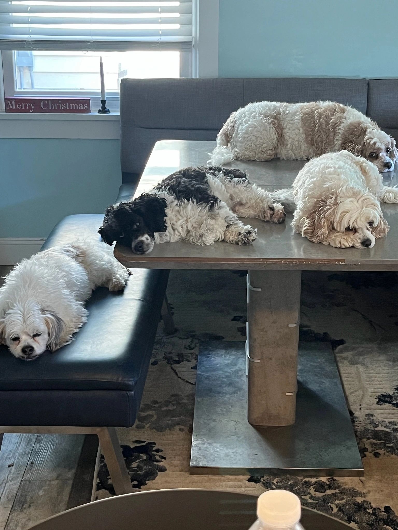 Our family