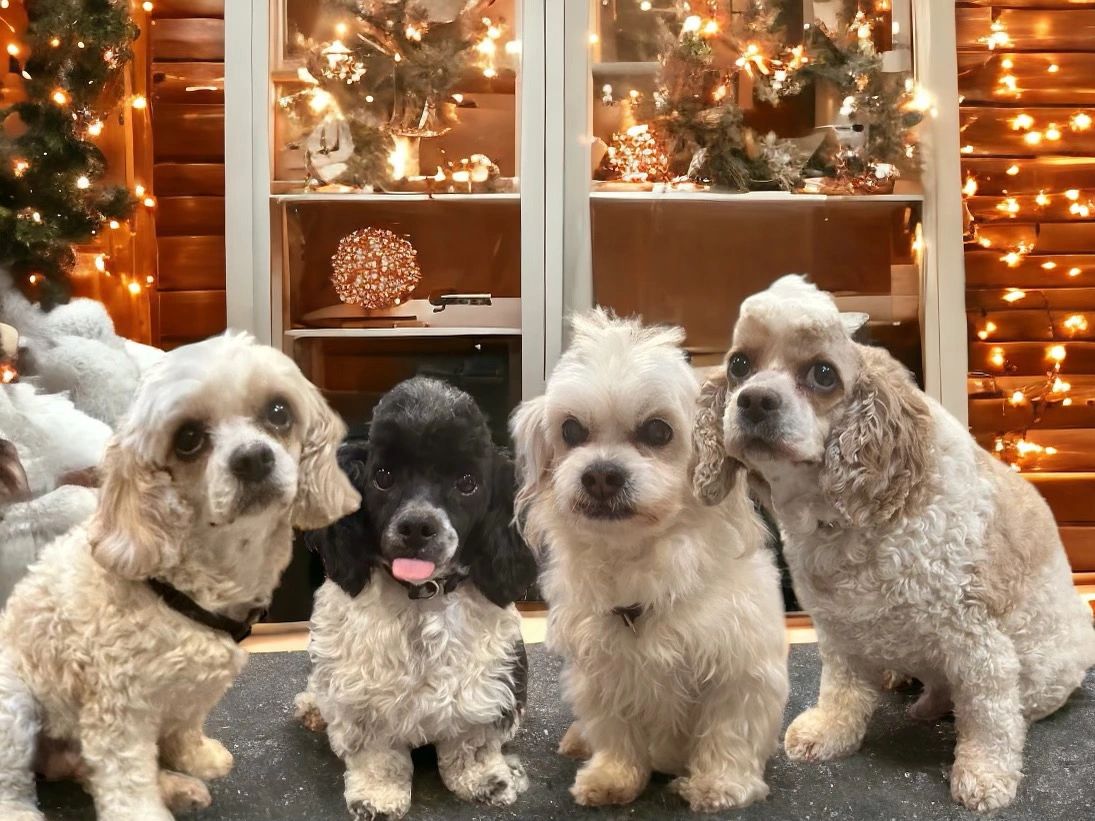 Our family