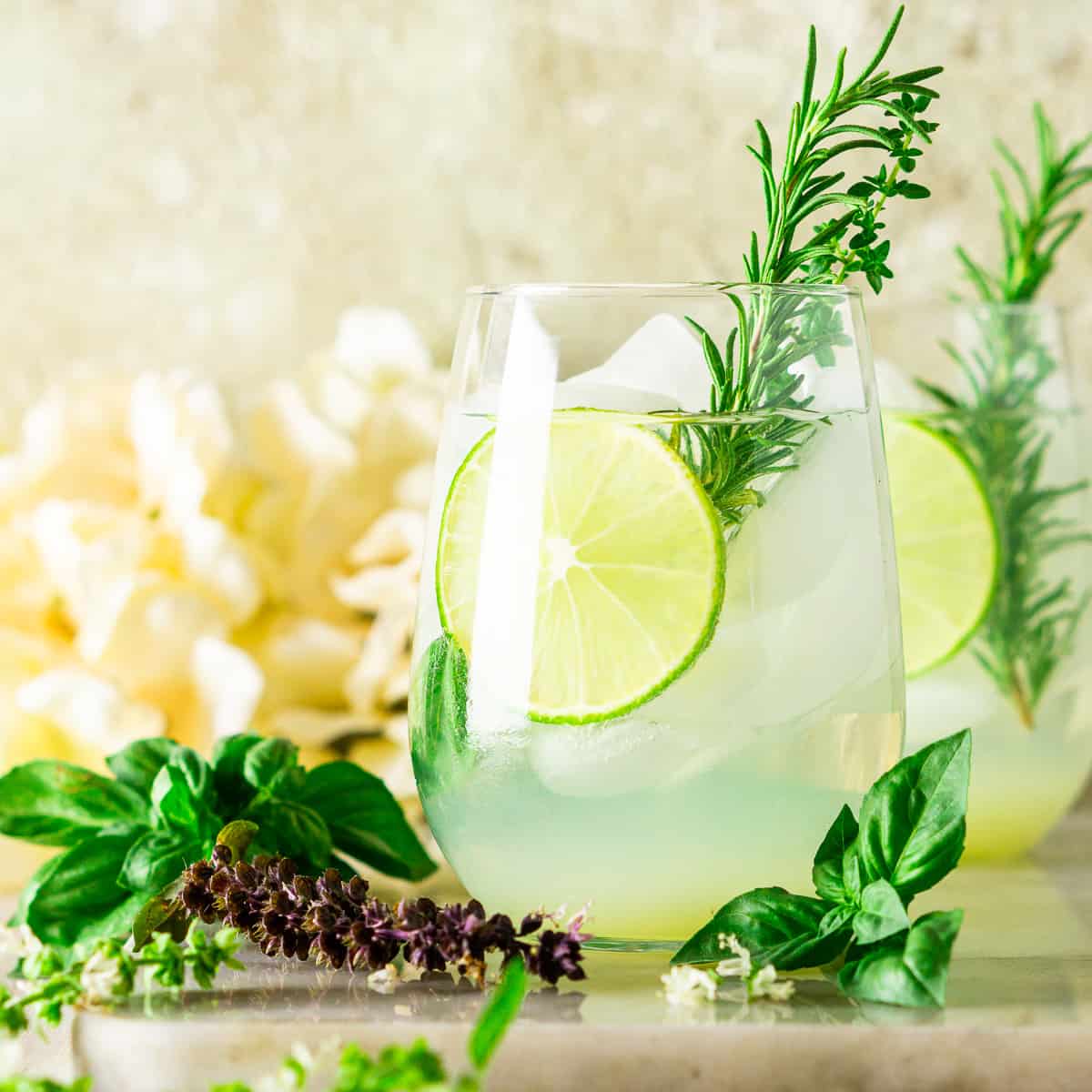 Garden Gin and Tonic